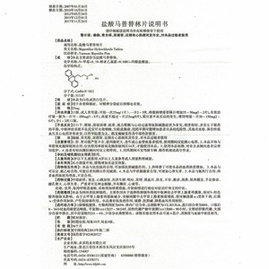 盐酸马普替林片