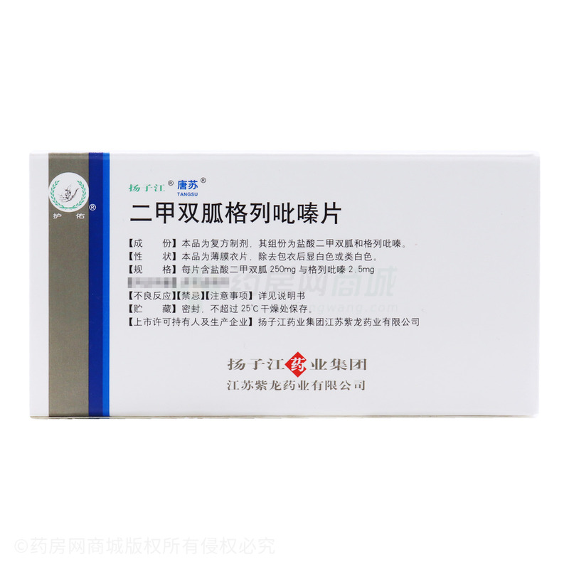 二甲双胍格列吡嗪片 - 紫龙药业