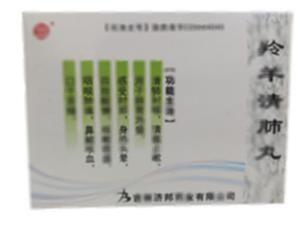 羚羊清肺丸(吉林济邦药业有限公司)