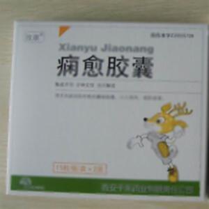 痫愈胶囊(西安千禾药业股份有限公司)