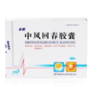 中风回春胶囊(陕西步长制药有限公司)