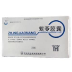 紫苓胶囊(西安恒生堂制药有限公司)