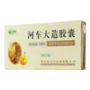 河车大造胶囊(黄山市天目药业有限公司)-黄山天目