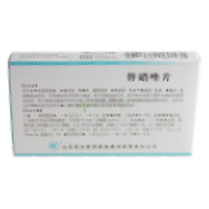 替硝唑片 - 山东鲁抗赛特公司