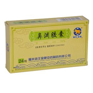 鼻渊胶囊(福州海王金象中药制药有限公司)-福州海王金象