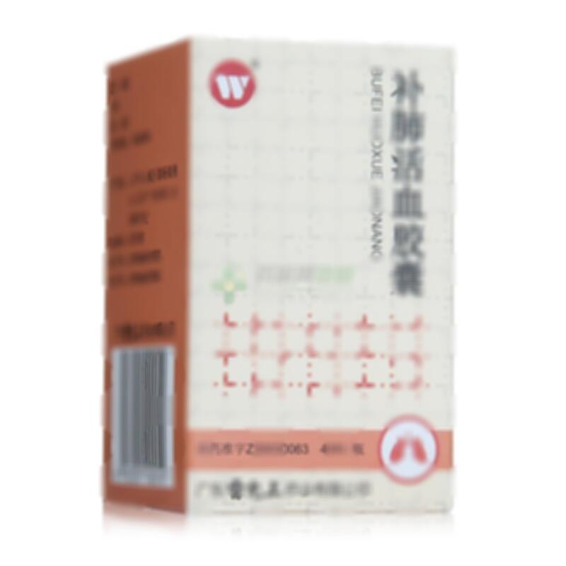 补肺活血胶囊 - 广东雷允上