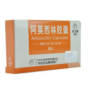 阿莫西林胶囊价格(阿莫西林胶囊多少钱)