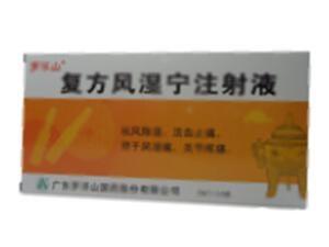 复方风湿宁注射液(广东罗浮山国药股份有限公司)
