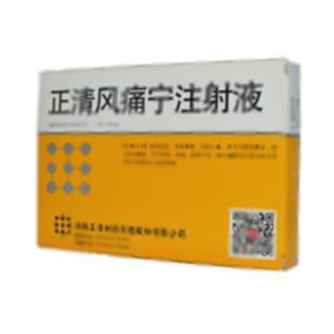 正清风痛宁注射液(湖南正清制药集团股份有限公司)