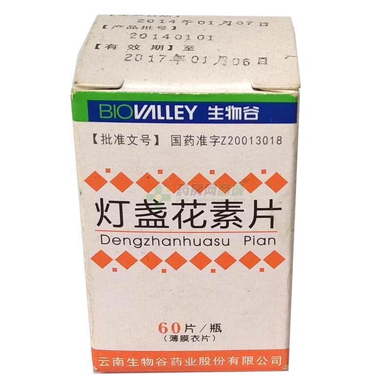 灯盏花素片