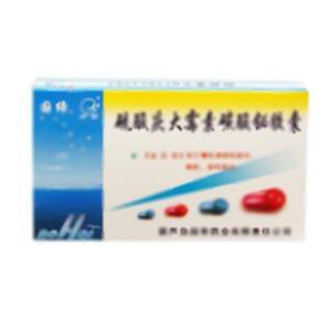 硫酸庆大霉素碳酸铋胶囊(葫芦岛国帝药业有限责任公司)-葫芦岛国帝