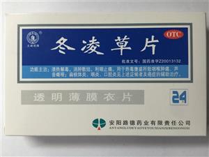 冬凌草片(安阳诺美药业有限公司)-诺美药业