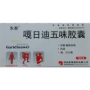 嘎日迪五味胶囊(陕西东泰制药有限公司)