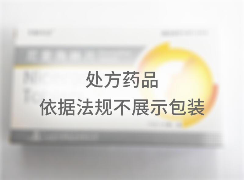 尼麦角林片 - 山东齐都