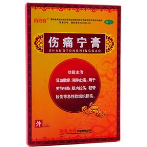 伤痛宁膏(湖北康源药业有限公司)