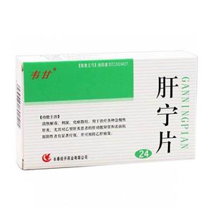 肝宁片(0.3gx12片x2板/盒)