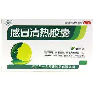 感冒清热胶囊(广东一力罗定制药有限公司)