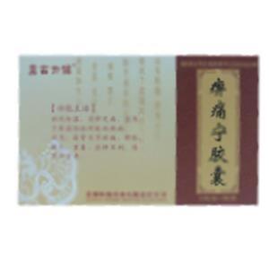 痹痛宁胶囊(贵州恒霸药业有限责任公司)