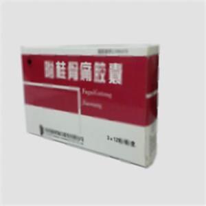 附桂骨痛胶囊(陕西康惠制药股份有限公司)