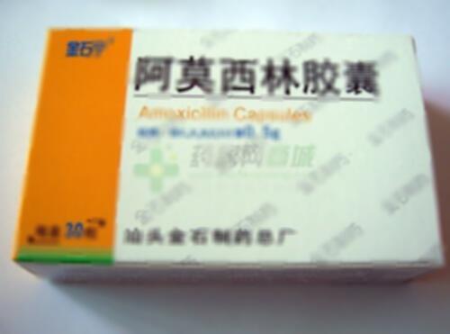 阿莫西林胶囊 - 汕头金石