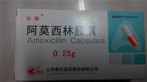阿莫西林胶囊价格(阿莫西林胶囊多少钱)