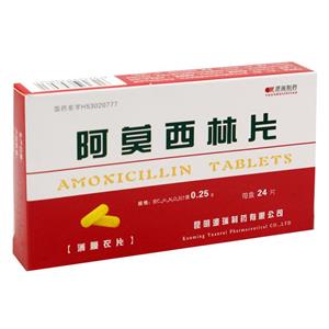 阿莫西林片(0.25gx12片x2板/盒)