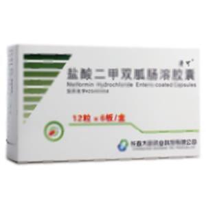 盐酸二甲双胍肠溶胶囊(长春大政药业科技有限公司)-长春大政