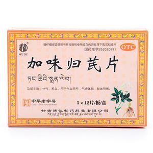 加味归芪片(甘肃佛仁制药科技有限公司)