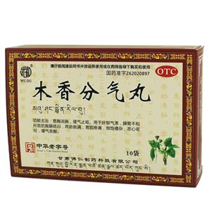 木香分气丸(甘肃佛仁制药科技有限公司)
