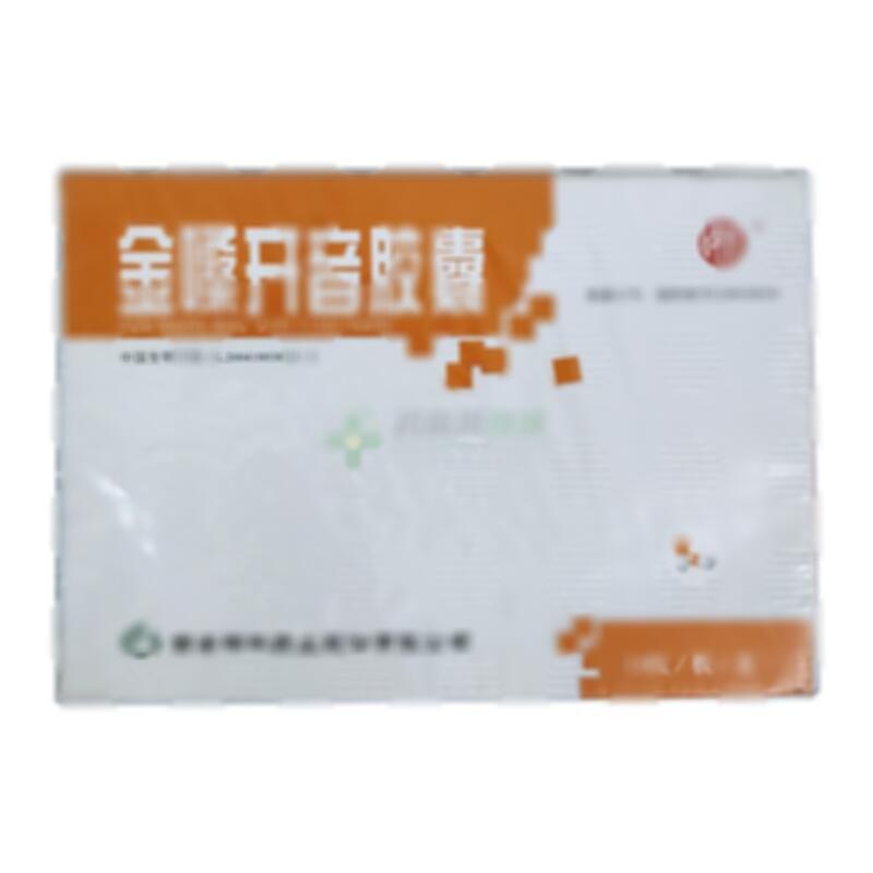 金嗓开音胶囊 - 西安碑林