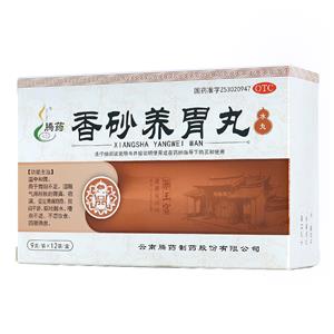 香砂养胃丸(9gx12袋/盒)